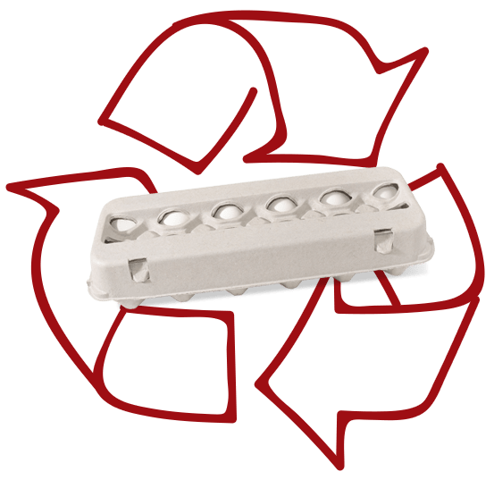 Moulded fibre carton with recycling symbol behind it