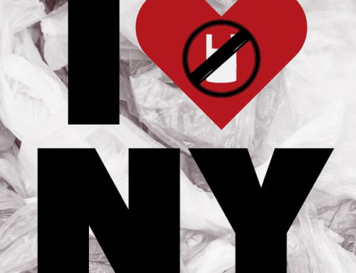 New York State to Ban Single-Use Plastic Bags