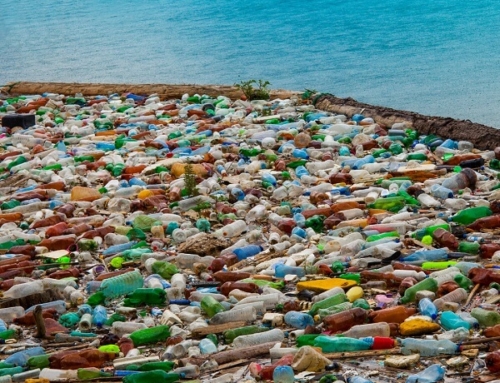 Companies Being Sued for Plastic Pollution