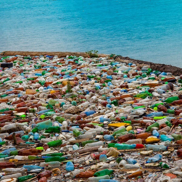 Pop bottles in ocean