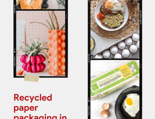 Spotted: You’re Making the Switch to Recycled Paper Packaging