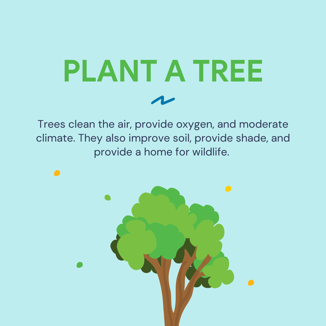 Plant a tree topic