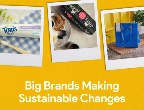 10 Sustainable Brands Reducing Plastic and Foam Waste