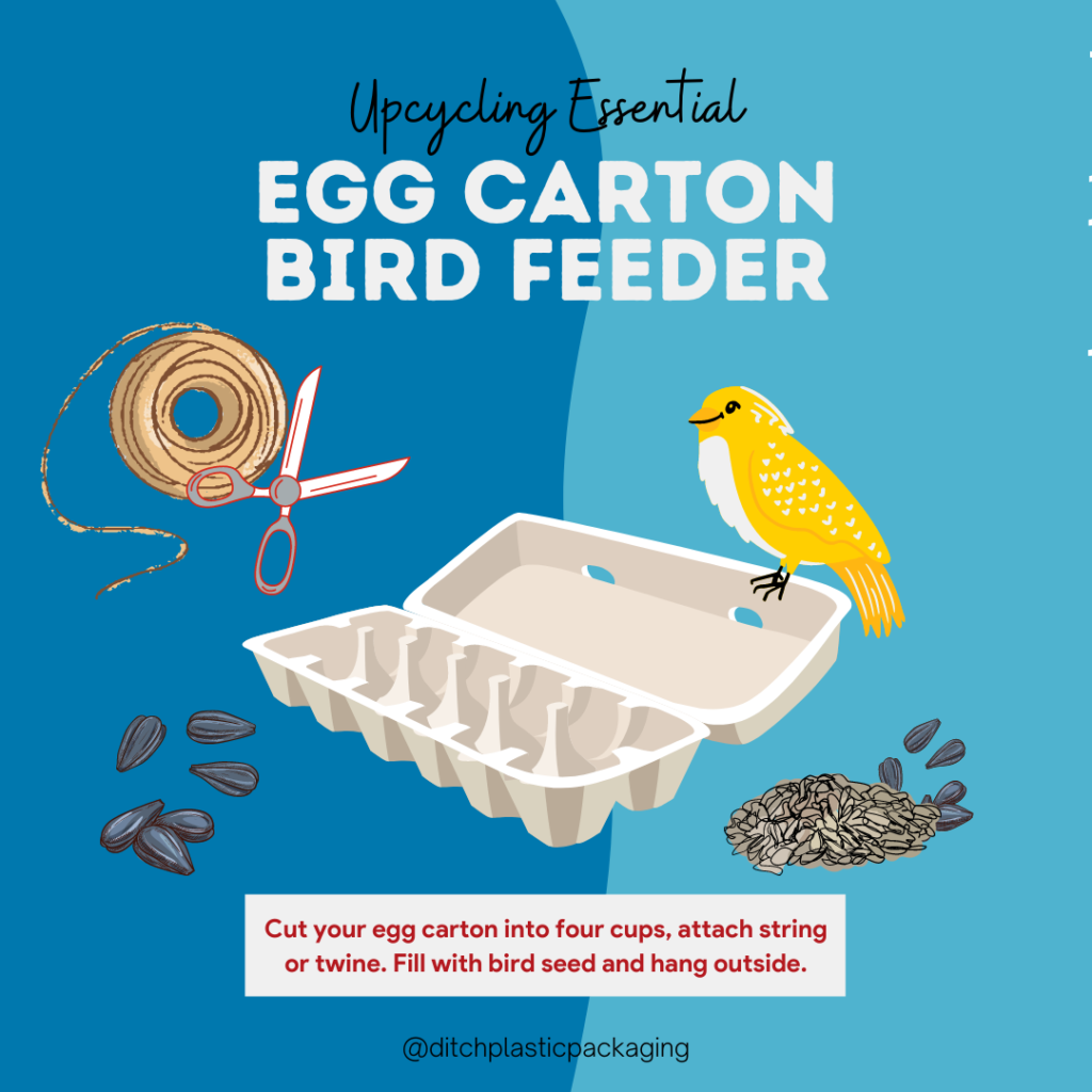 egg carton bird feeder