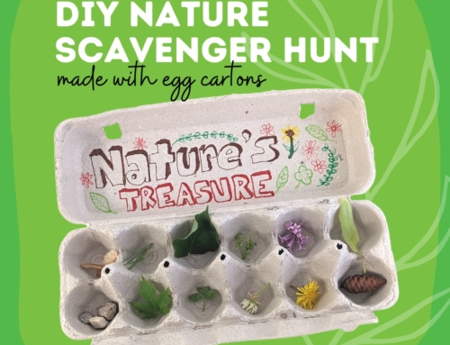 How To Have A Nature Scavenger Hunt With Recycled Paper Egg Cartons