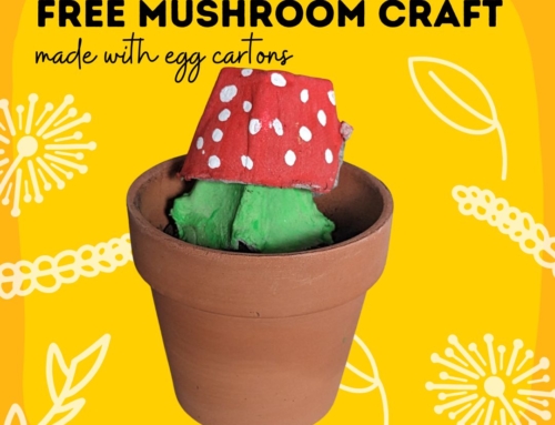 Mushroom Egg Carton Craft Using Recycled Paper Egg Cartons