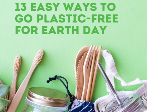 13 Simple Ways to Reduce Single-Use Plastic on Earth Day and Beyond